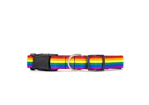 Woof Concept Dog Collar Pride 2021